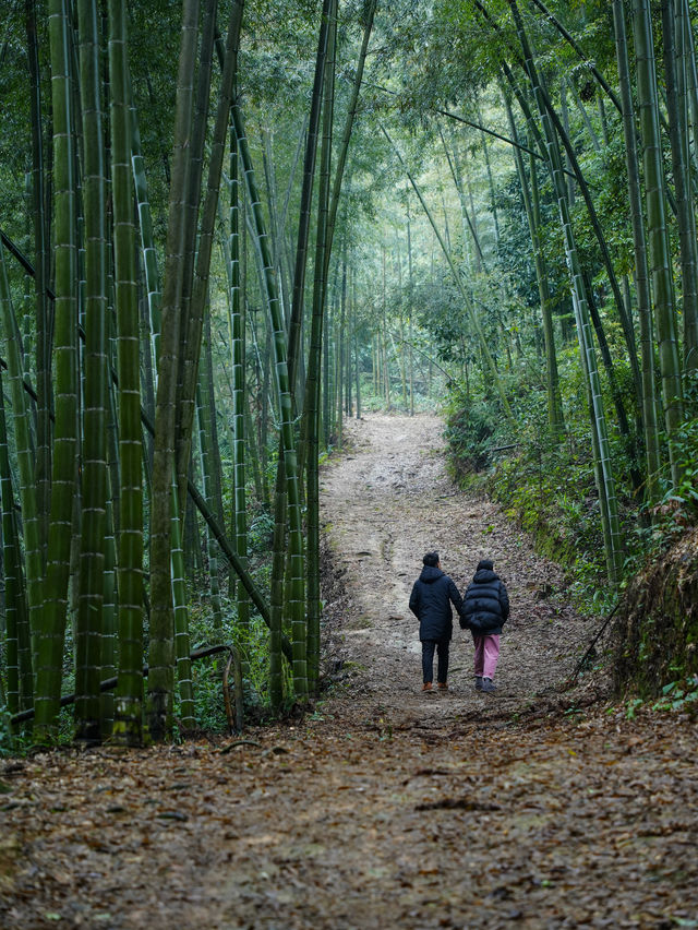 山里罗罗民宿丨被花海包围的山野秘境！