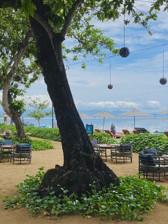 躺平度假🏖️沙努爾的私密綠洲🍀 安達仕Bali