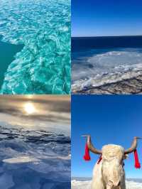 青海湖旅遊攻略 不要錯過