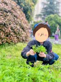 清明親子趣：青團手作·植物拓染。