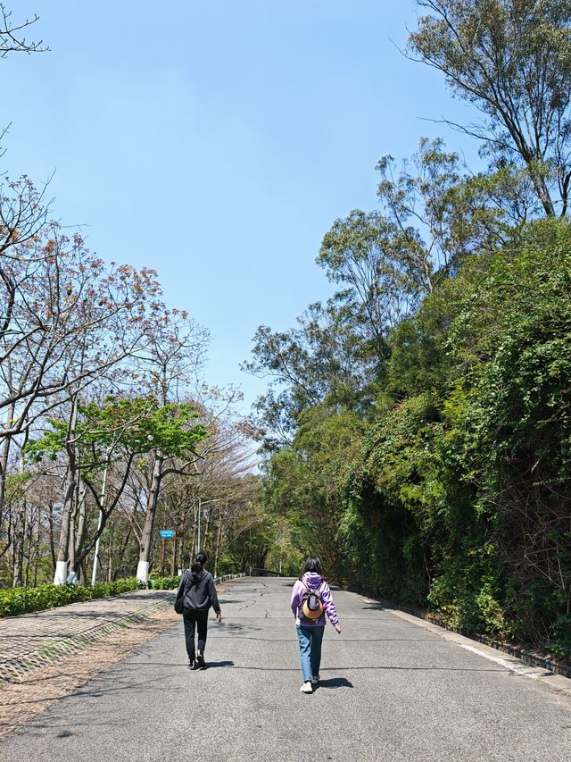 上李水庫踏春