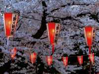 🌸Trip接送機|日本春日出遊指南·東京篇1