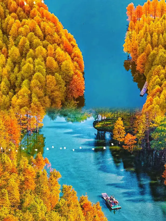 Witness the radiant sea of rapeseed flowers in Wuyuan and encounter a golden fairy tale here.