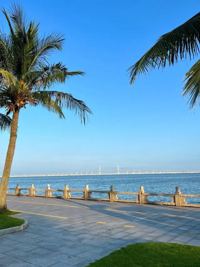 Guangzhou-Foshan-Zhuhai Family Travel Guide—A Detailed Guide, Save It Now!