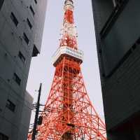 東京塔週邊暢玩攻略！附淺草寺等打卡地