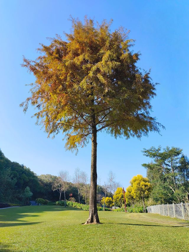 嚟廈門唔知去邊度玩？上李水庫畀你唔一樣嘅體驗！