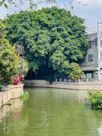 #荔灣湖公園：粵韻悠揚的城市明珠