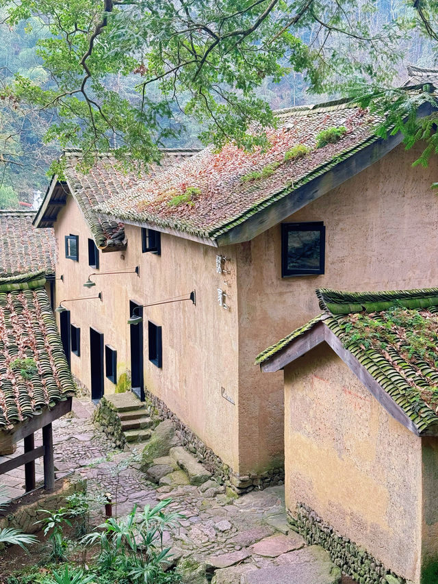 不捨野馬嶺 | 入住600年歷史的古村落