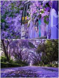 4–6 月出遊必去的 4 大城市