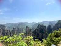 奇峰入畫‧雲海滌心：張家界國家森林公園的仙俠秘境之旅