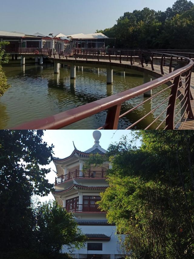 信陽南灣湖湖水清澈風景優美看茶山品茗茶快哉