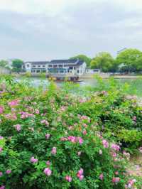 蘇州護城河City walk