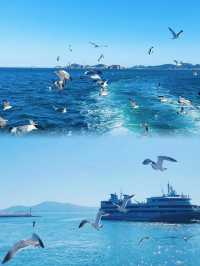 《 山東「小馬爾代夫」！海驢島2天1夜神仙玩法（附拍照機位