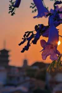 泉州天氣盲盒開到大晴天！傍晚天台追光攻略～