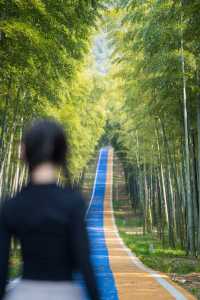 五一反向旅遊天花板！陽羨度假區超強攻略