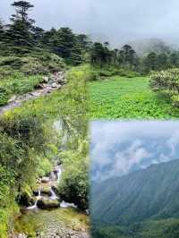 蒼山旅遊攻略：邂逅仙境般的自然靈氣