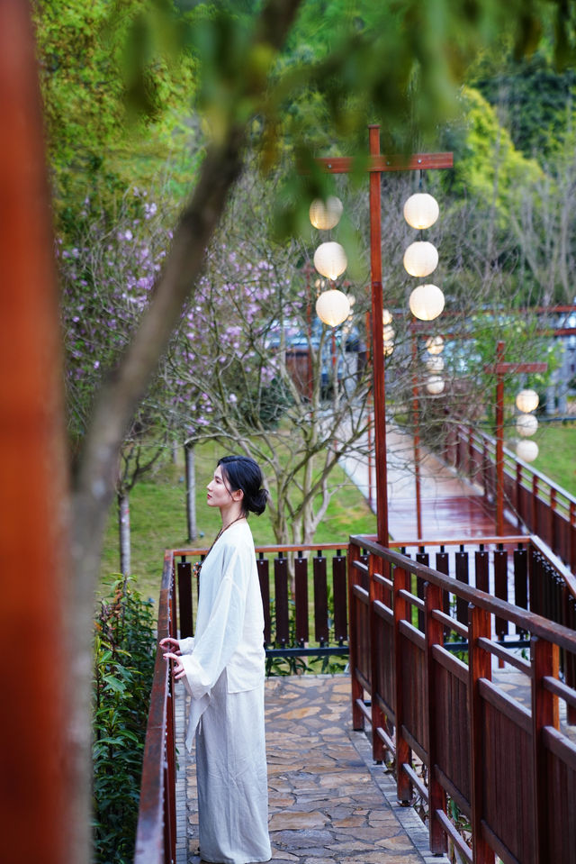 雨後合谷山居 | 我在這間民宿影到人生相片！