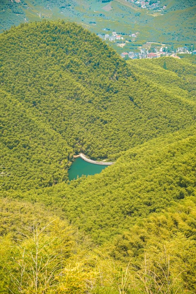 「參差樓閣起高崗，半為煙遮半樹藏。