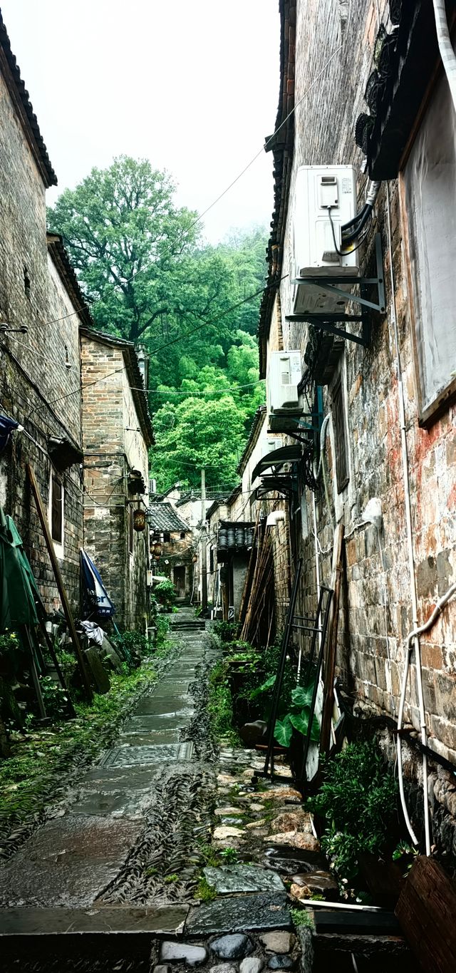 景德鎮瑤里同陶陽里御窯博物館自駕遊