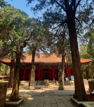 Qufu Confucius Forest! This guide has everything you need!!