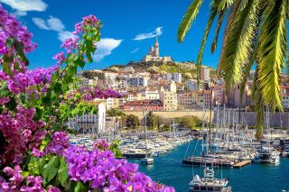 Summer Hidden Gems｜Step into Van Gogh's Painted World · Saint-Rémy-de-Provence