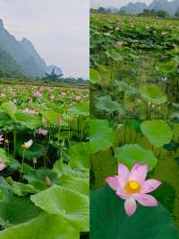 無邊際泳池暢游，旅途嘅疲勞即刻減半