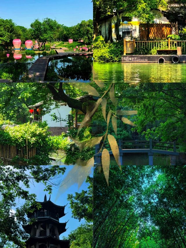 暑假帶爺爺奶奶遊呢幾城，太好逛啦！