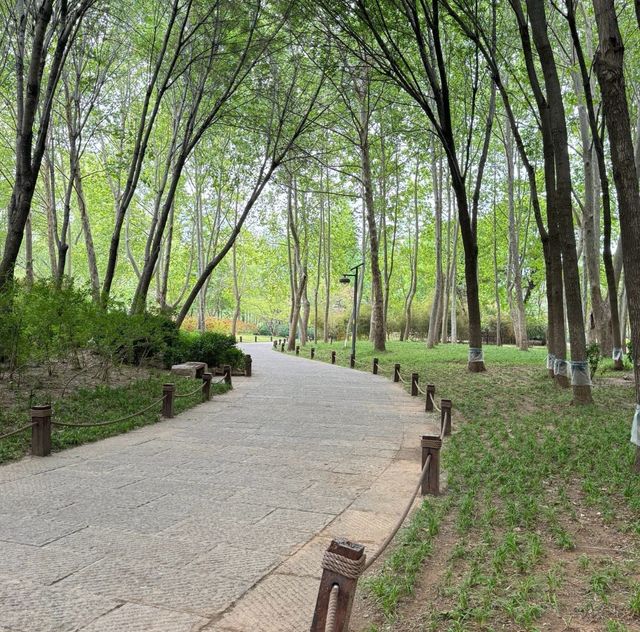 濟南森林公園 | 城市中的自然瑰寶