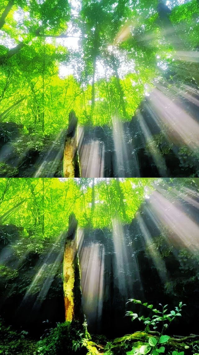 地球級仙境荔波小七孔超全玩水攻略
