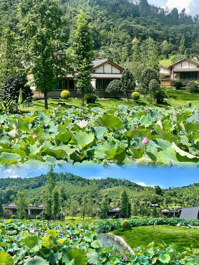江西宜春丨6-7月淡季嚟真係好抵玩，人少景靚