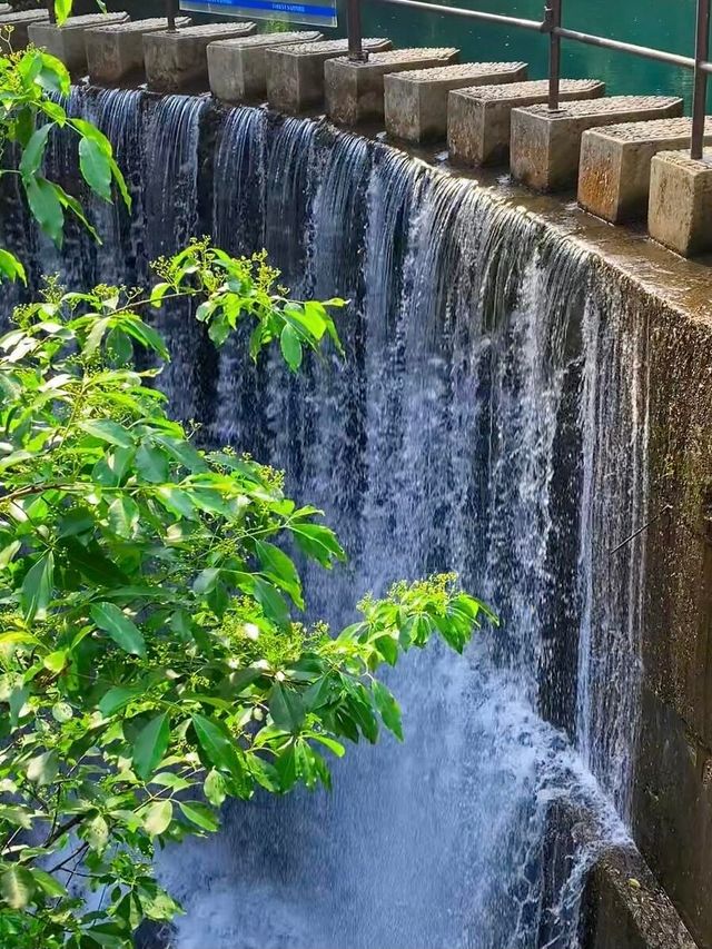 桐廬大奇山—後悔而家先發現呢個旅遊聖地