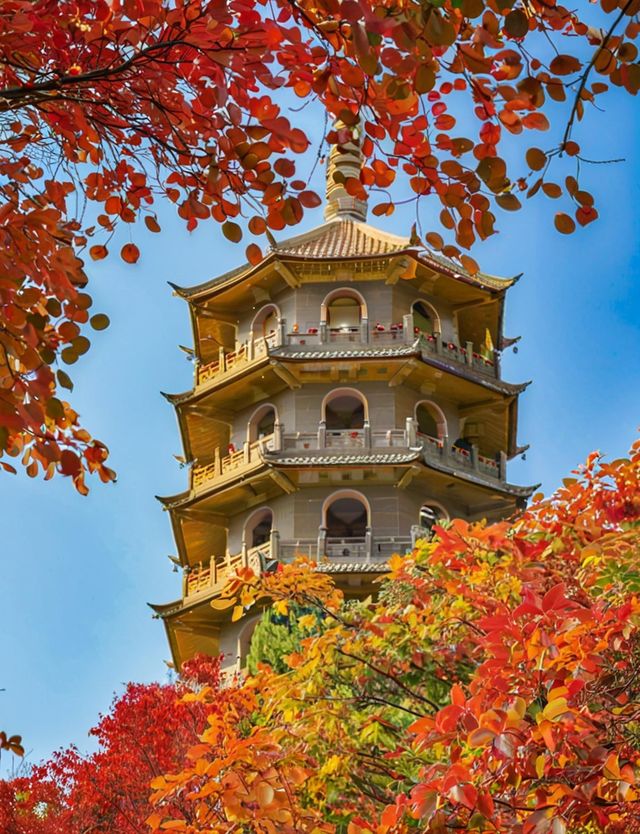 逃離高溫！躲進23℃紅葉谷，賞花玩水餵孔雀