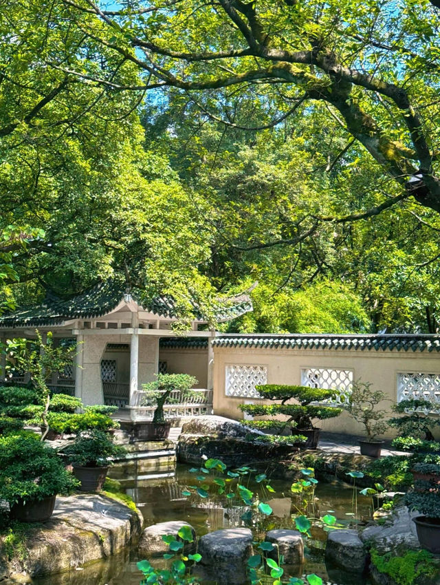 重慶鵝嶺公園超全攻略周邊家超近酒店推薦