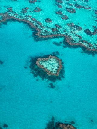 Visit this place before leaving Australia