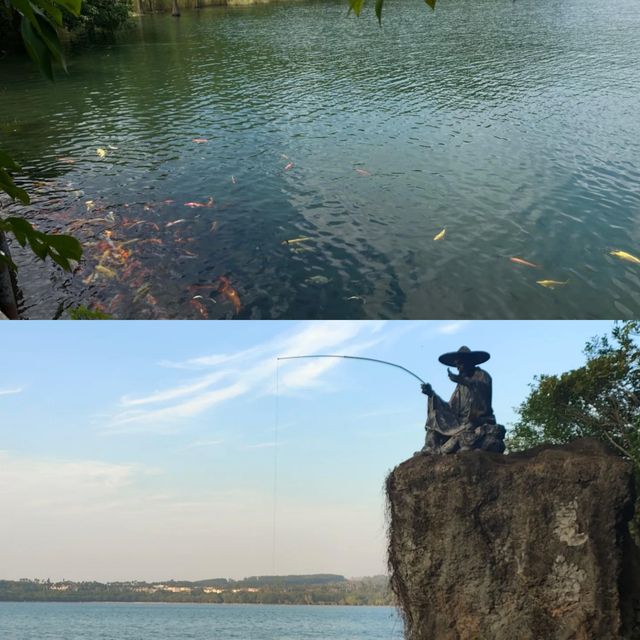 全球僅存2個瑪珥湖之一！湛江湖光岩，湖水清澈到連落葉都不會沉