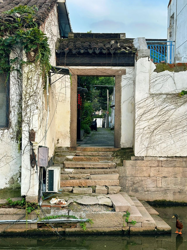 2 Days in Suzhou – Classical Gardens, Maze Temples & a Taste of Old China