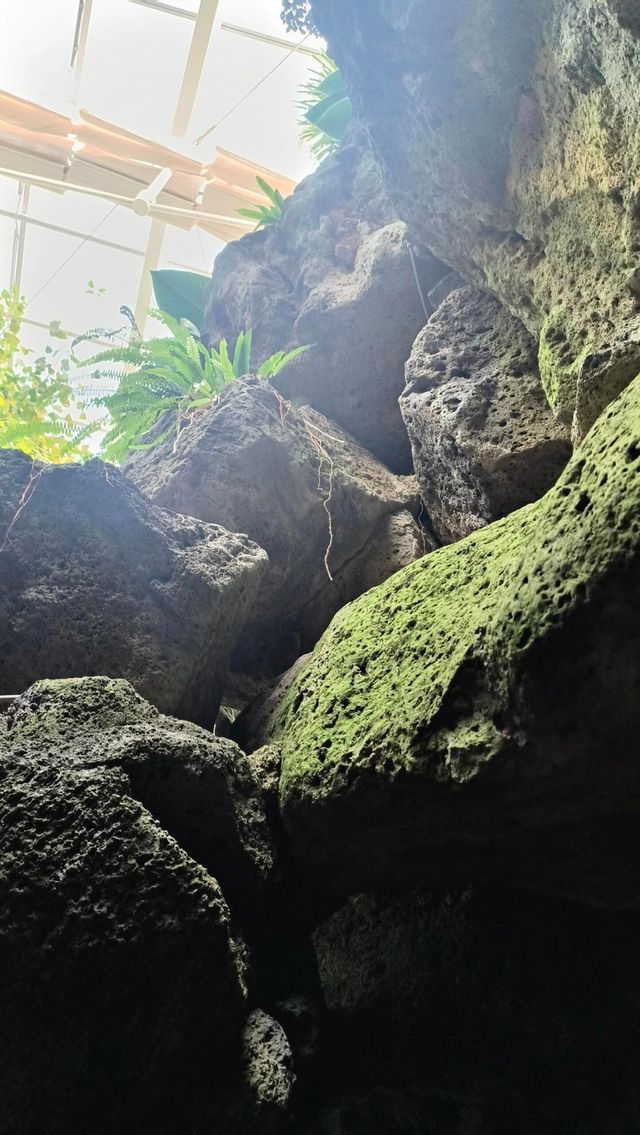 適合短途出遊嘅寶藏城市，寧夏•銀川