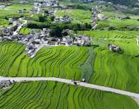雲南大理梯田嘅夏日氛圍感