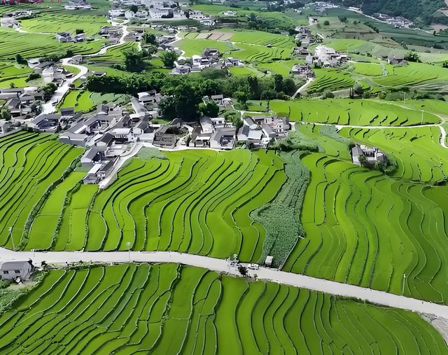 雲南大理梯田嘅夏日氛圍感