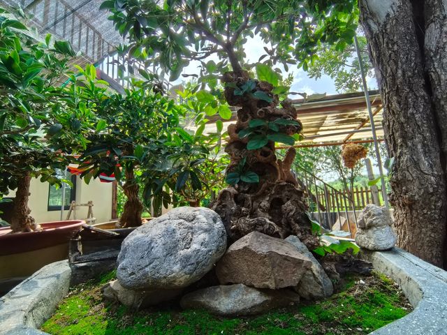 山楂樹下——哈爾布武碑