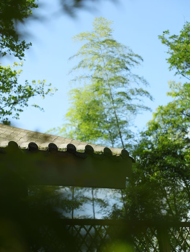 青城後山流淌著禪意嘅中式院落|邂逅淡泊平和