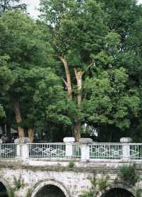 昆明大觀樓｜公園20分鐘效應真係超治癒