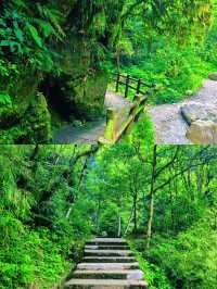 盛夏避暑秘境地，吸氧行山「瑞士」大飛水
