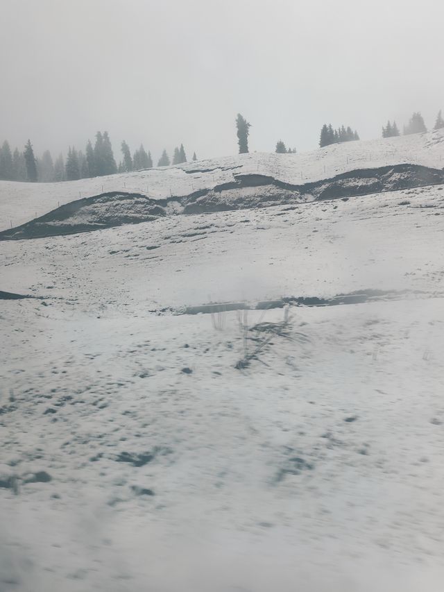 仙境!烏魯木齊周邊一日遊! 仙境!烏魯木齊周邊一日遊!