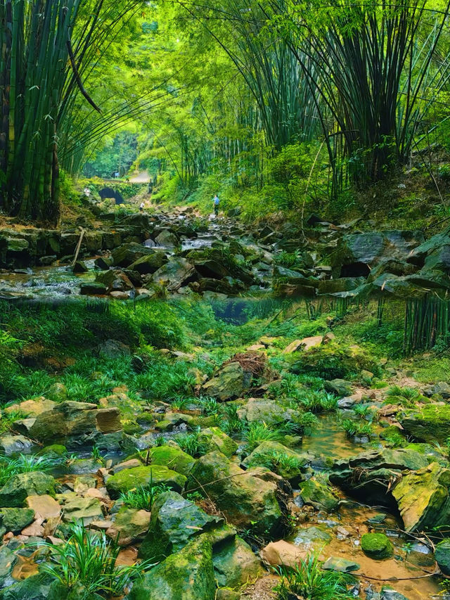 青城山漢服出片神機位