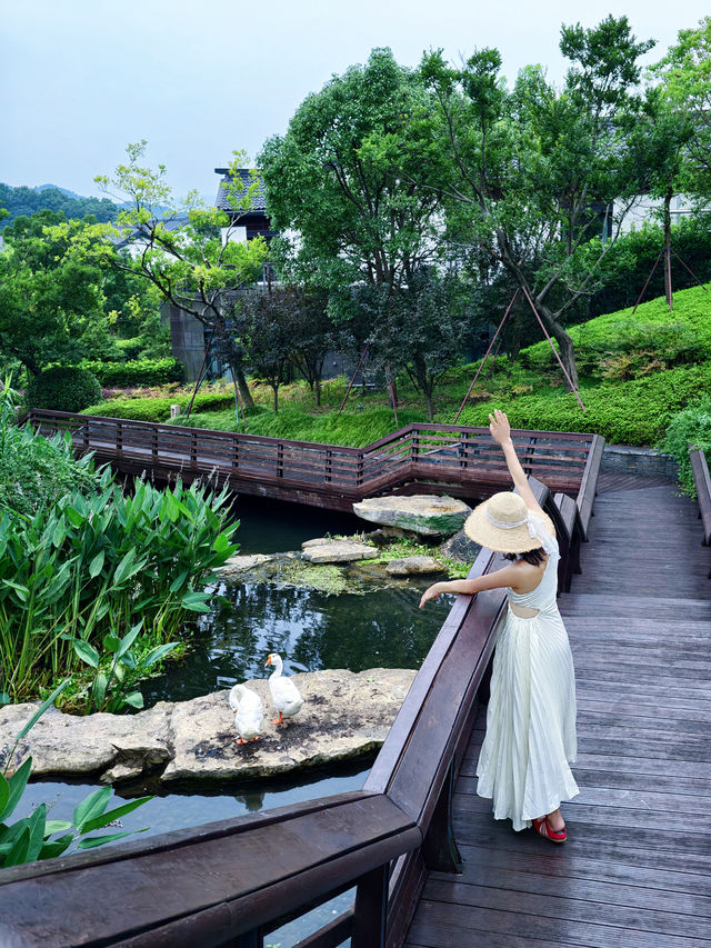 夏日躺平指南/度假先係夏日嘅正確打開方式