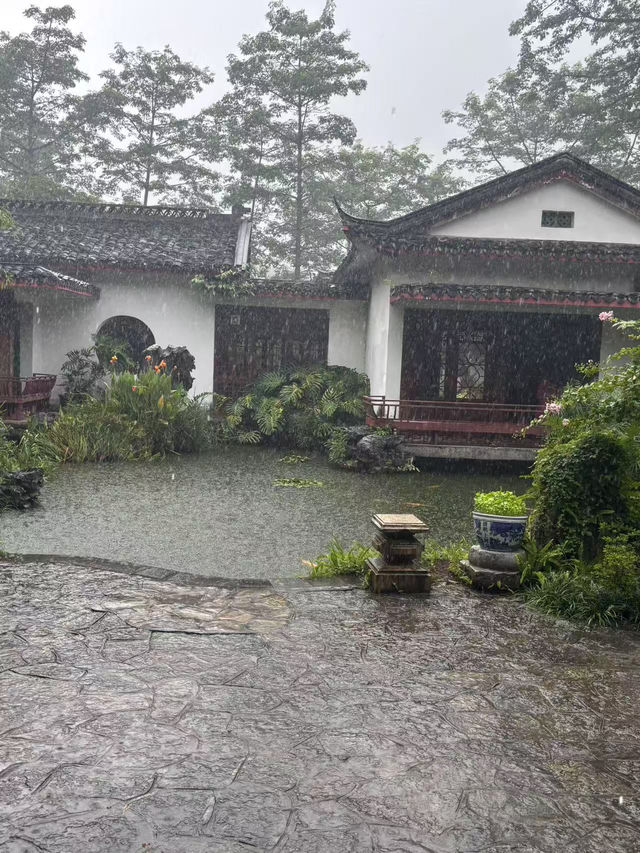 🌧️ 柳州人才懂的雨天浪漫！柳侯公園餵魚賞雨秘境大公開