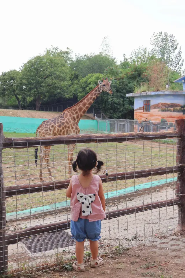 Ultimate Guide to Qinling Wildlife Park