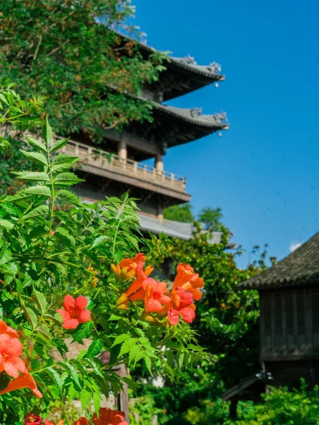 抓住夏天尾巴，與凌霄共赴水尚生活之約！
