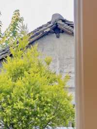 西塘 | 邂逅江南，住進藝術夢境